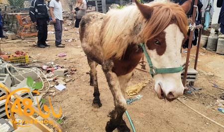 police lud arrested anmila (1).jpg